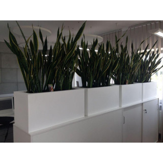 Kvetináč biely/sivý v tvare kvádra