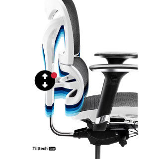 Bielo-čierne ergonomické kreslo Diablo