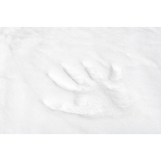 Biely okrúhly shaggy koberec