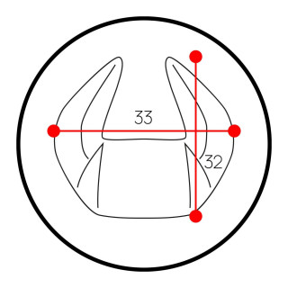 Črno-bela vzglavna blazina Diablo Chairs X-Horn