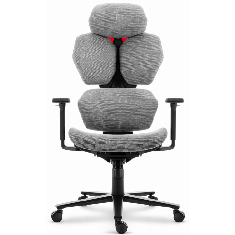 Siv ergonomski stol HELLS CHAIR HC-1010