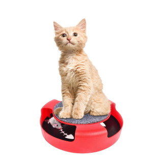 Mačja igrača z miško