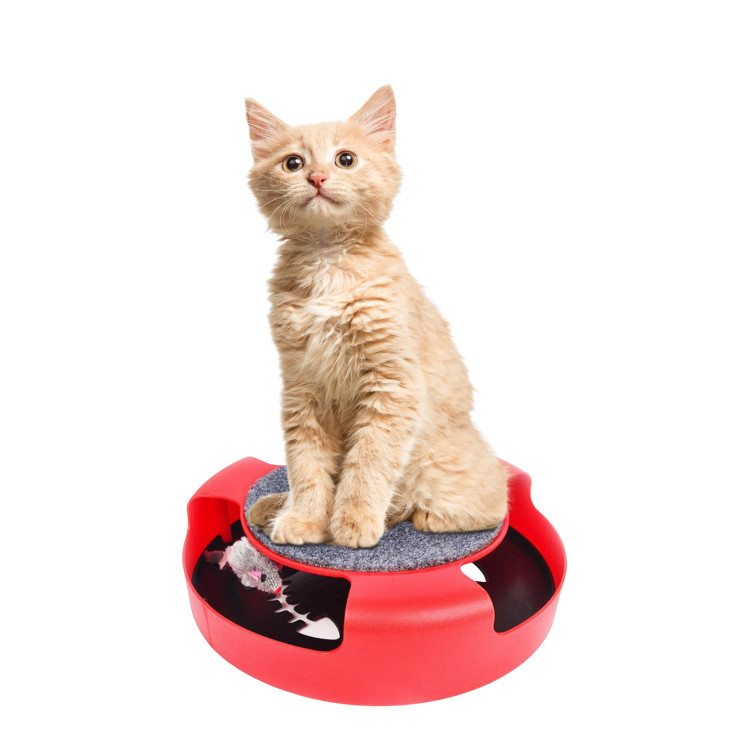 Mačja igrača z miško