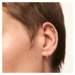 Ženski pozlačeni uhani s cirkoni