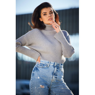 Siva rebrasta želva