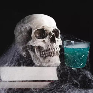 Umetna pajkova mreža + 2 pajka