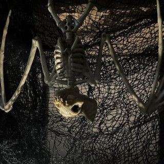 Okostje netopirja - 30 cm