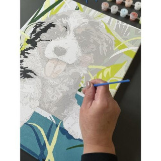 Slikanje po številkah 40x30 cm - pes