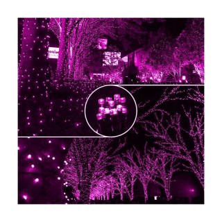 Rožnate božične LED lučke - 8 m