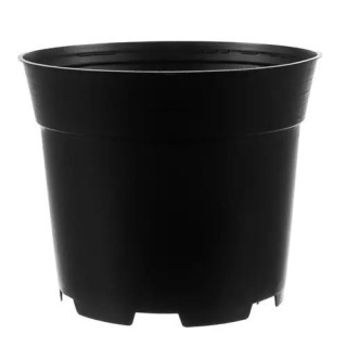 Sadilnik za rastline - 500 kos