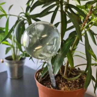 Namakalne krogle za cvetlične lončke - 8 kom