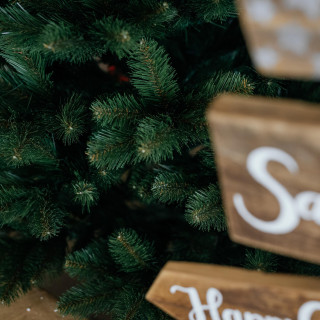 Božično drevo iz debelega bora - 220 cm