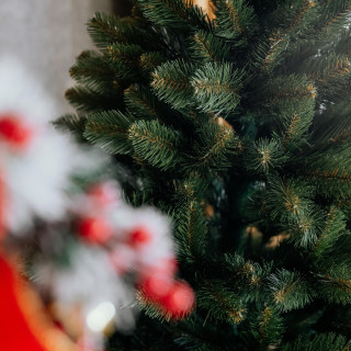 Debelo božično drevo - 180 cm