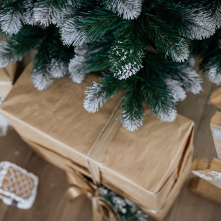 Zasneženo božično drevo iz debelega bora - 220 cm