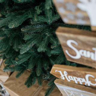 Ekskluzivna jelka iz goste smreke - 150 cm