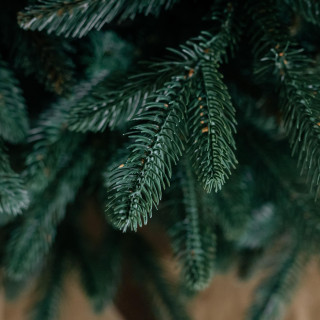 Ekskluzivna jelka iz goste smreke - 150 cm