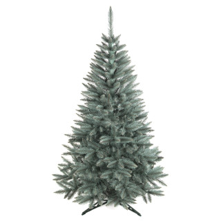 Debela božična jelka Sibirska smreka - 220 cm