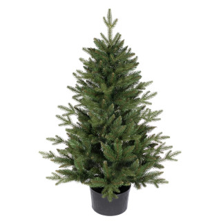 Premium smreka v loncu - 110 cm