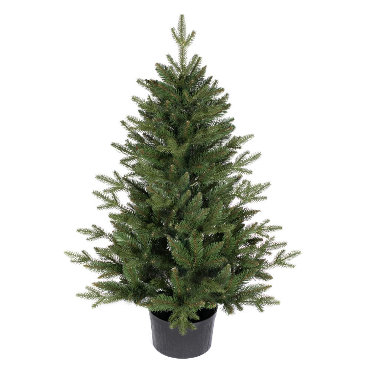 Premium smreka v loncu - 110 cm