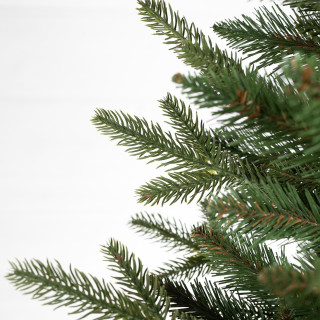 Premium smreka v loncu - 110 cm