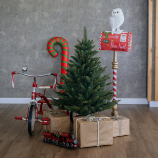 Premium smreka v loncu - 110 cm