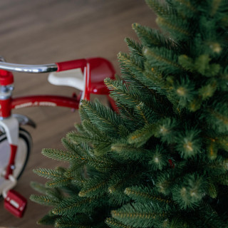 Premium smreka v loncu - 110 cm