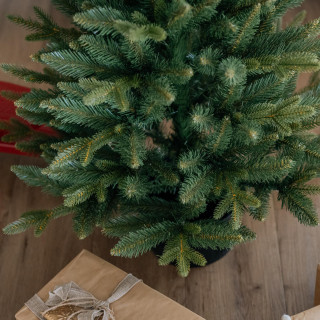 Premium smreka v loncu - 110 cm