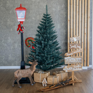 Debela božična jelka Sibirska smreka - 150 cm