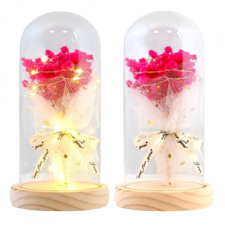 Rožnata gipsofila pod stekleno kupolo