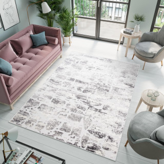 Moderna svetlo siva preproga