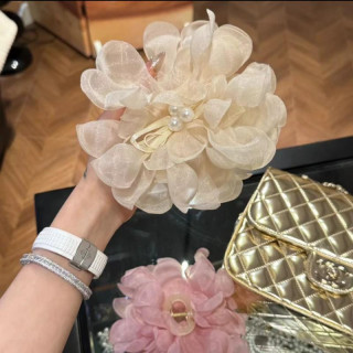 Bela sponka za lase zadaj