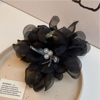 Črna sponka za lase zadaj