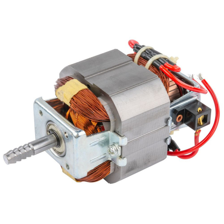 Motor za trimer PM-PKE-1400M-SI