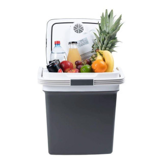 Prenosni avtomobilski hladilnik 29L