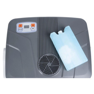 Prenosni avtomobilski hladilnik 29L