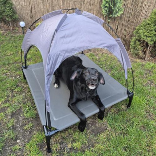 Purlov dvignjena pasja postelja za notranje prostore