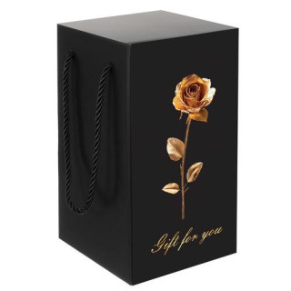 Svetleča vrtnica v steklu v elegantni škatli