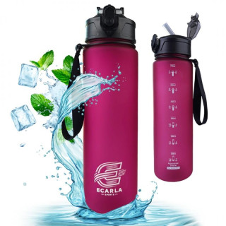 Steklenica za vodo v bordo mat barvi - 750 ml