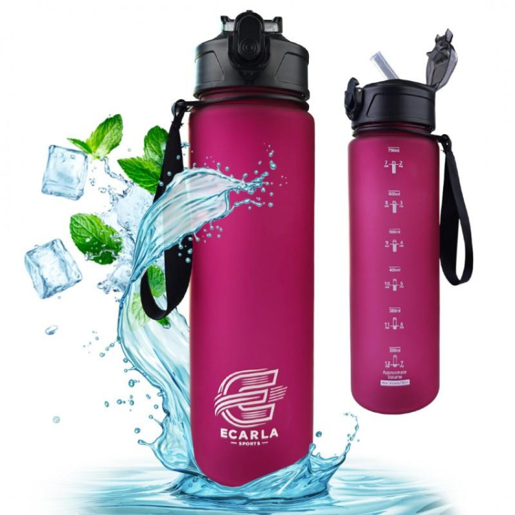 Steklenica za vodo v bordo mat barvi - 750 ml