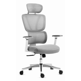 Ergonomski pisarniški stol HELLS HC-1043 v sivi barvi