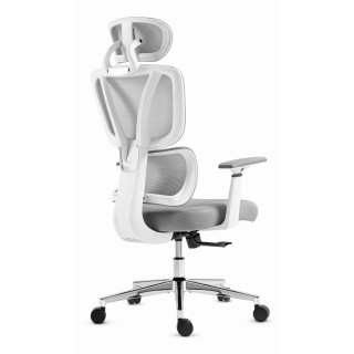 Ergonomski pisarniški stol HELLS HC-1043 v sivi barvi