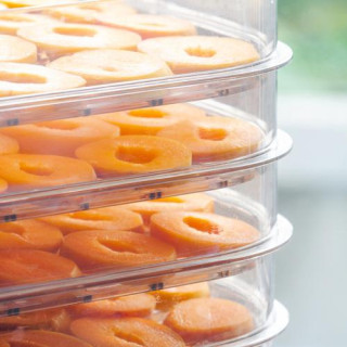 Sušilnik za gobe, sadje in zelenjavo