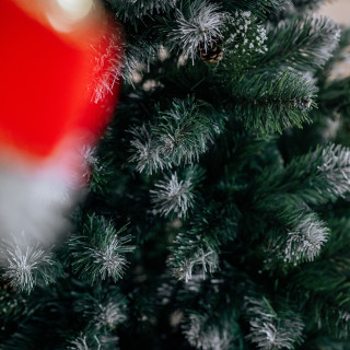 Zasneženo debelo božično drevo - 220 cm