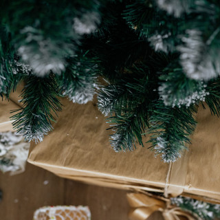 Zasneženo debelo božično drevo - 220 cm