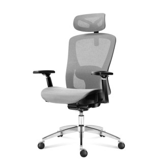 Siv ergonomski stol Mark Adler EXPERT 5.3 SIVA MREŽA