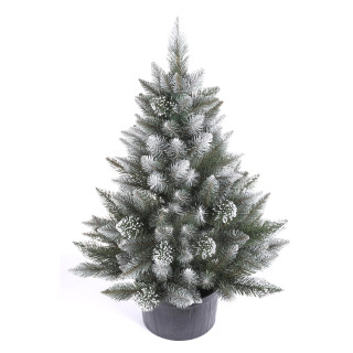 Gosta, zasnežena diamantna smreka v loncu - 80 cm -