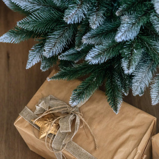 Gosta, zasnežena diamantna smreka v loncu - 80 cm -