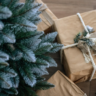 Gosta, zasnežena diamantna smreka v loncu - 80 cm -