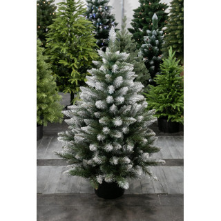 Gosta, zasnežena diamantna smreka v loncu - 80 cm -