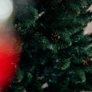 Gosta božična borova jelka s storži - 180 cm